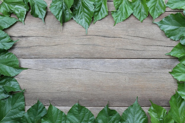 Photo full frame shot of ivy leaves