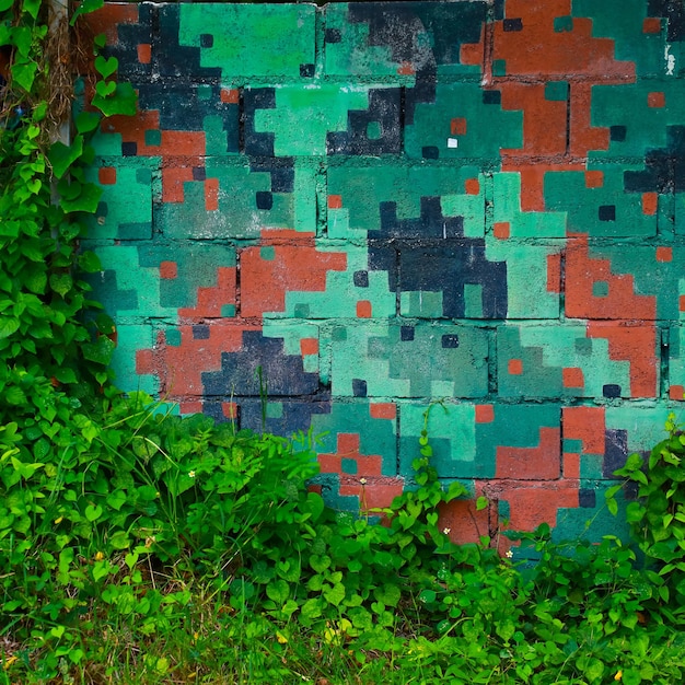 Photo full frame shot of ivy on wall