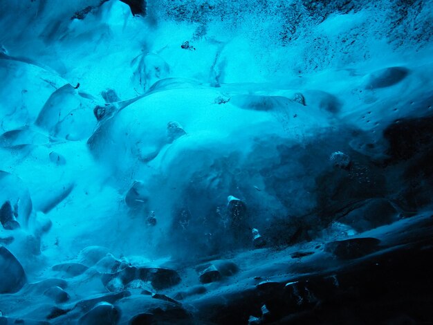 Full frame shot of jellyfish in sea