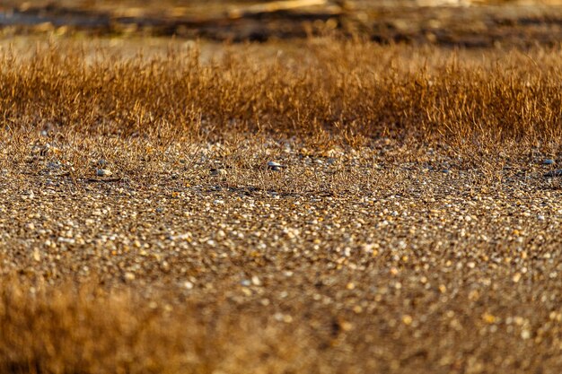 Full frame shot of land