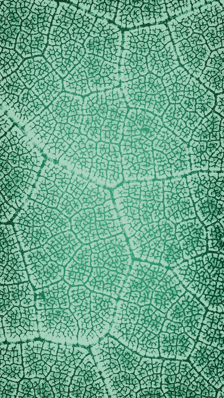 Photo full frame shot of leaf