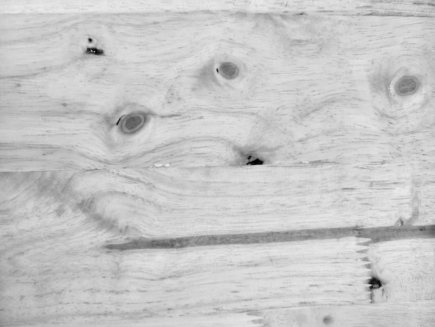 Photo full frame shot of lizard on wood