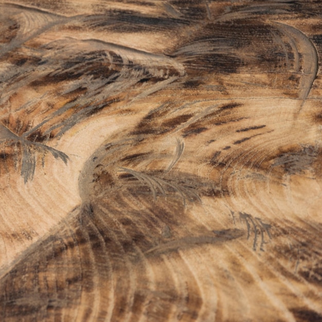 Photo full frame shot of lizard on wood