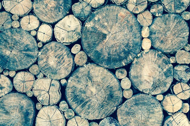 Full frame shot of logs in forest