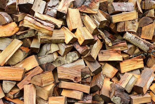 Photo full frame shot of logs in forest