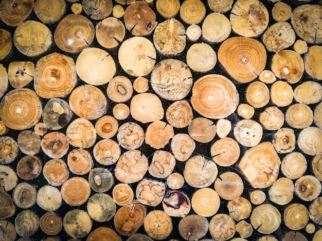 Full frame shot of logs in forest