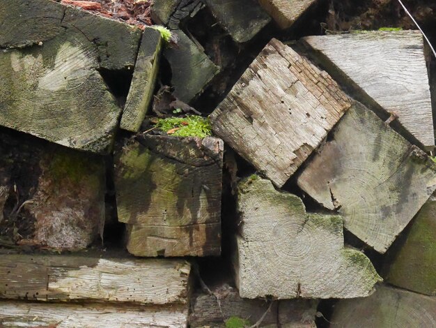 Photo full frame shot of logs