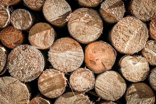 Photo full frame shot of logs