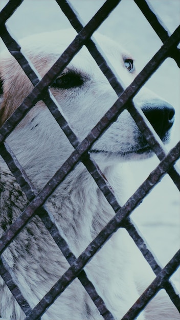 Full frame shot of metal fence