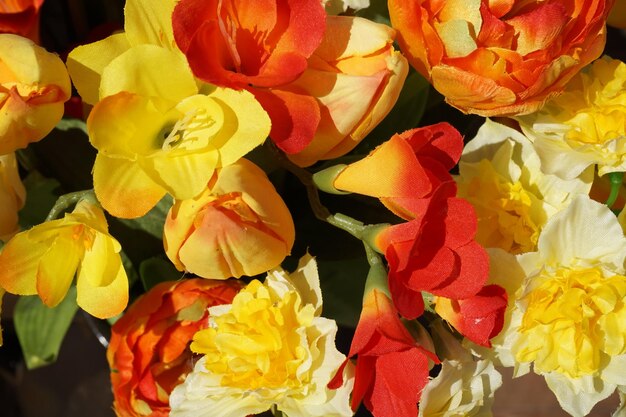 Full frame shot of multi colored roses