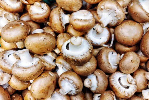 Photo full frame shot of mushrooms