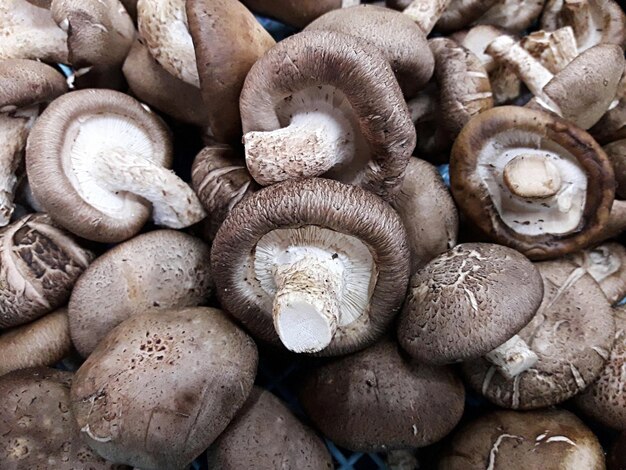 Photo full frame shot of mushrooms