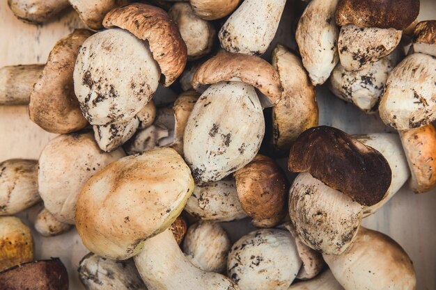 Photo full frame shot of mushrooms