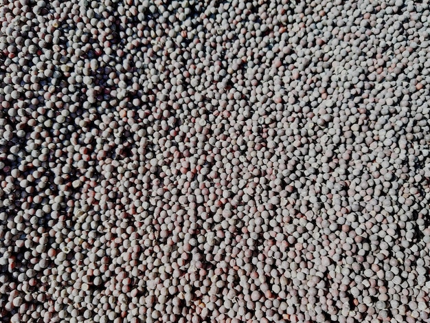 Photo full frame shot of mustered oil seeds