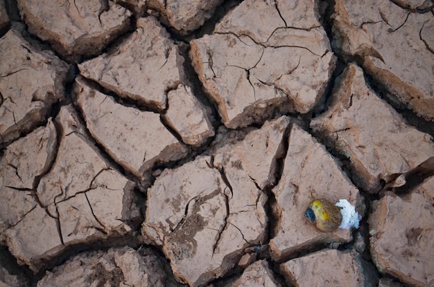 写真 割れた土地のフルフレームショット