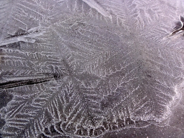 Фото Полный кадр замороженного пейзажа
