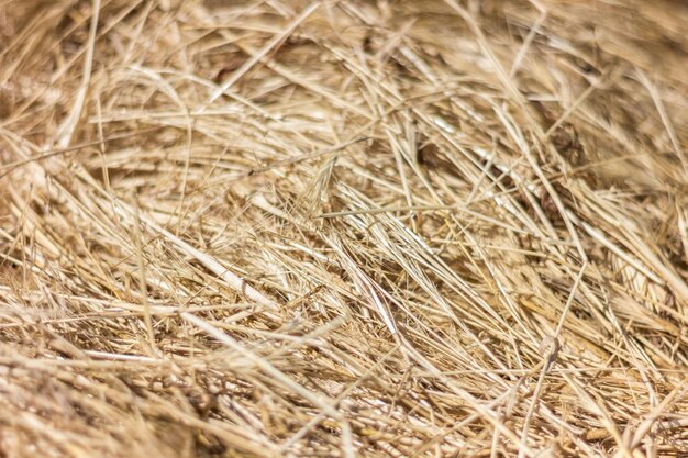 Фото Полный кадр балов сена на поле