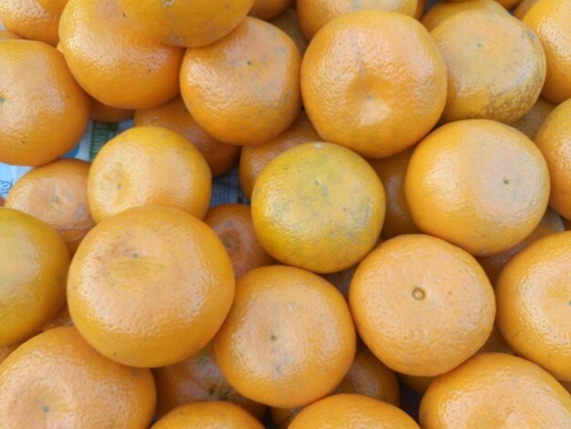 사진 판매되는 오렌지의 전체 프레임