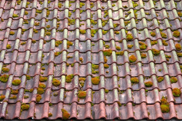 Фото Полный кадр с очищенными плитками