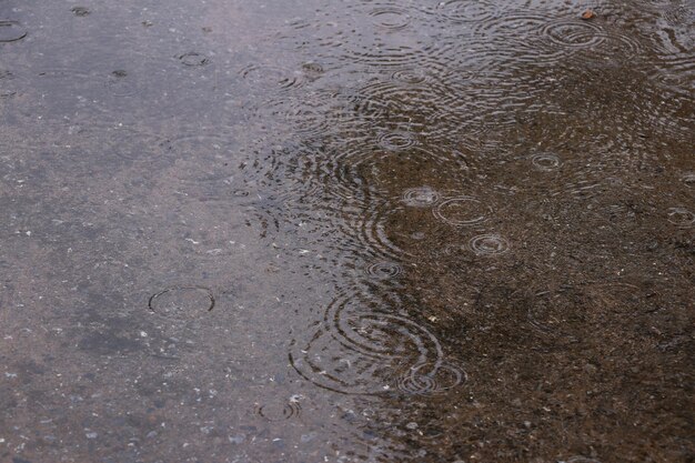 写真 池の上の雨滴のフルフレームショット