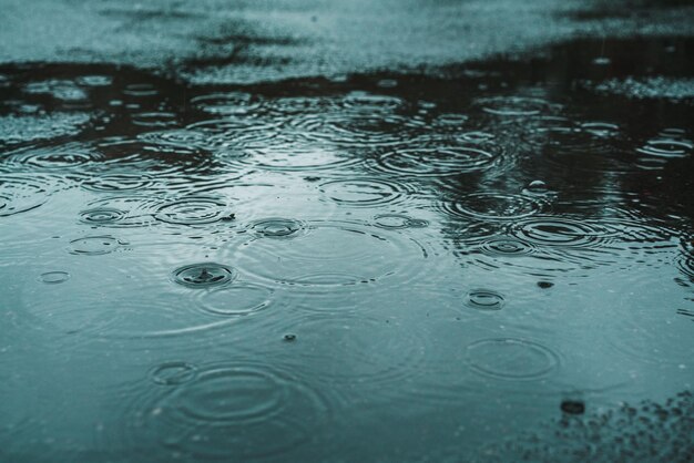 写真 水上の雨滴のフルフレームショット