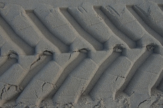 사진 해변 에 있는 타이어 흔적 의 전체
