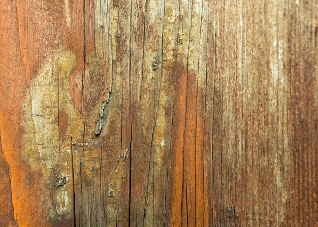 写真 木製のドアのフルフレームショット
