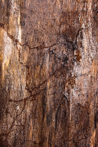 Photo full frame shot of old wooden floor