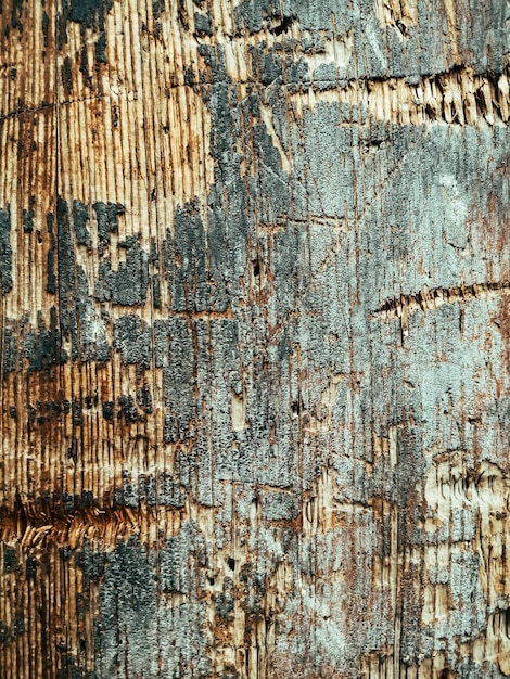 Foto fotografia completa di una vecchia parete di legno