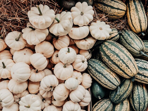 Photo full frame shot of onions for sale at market stall