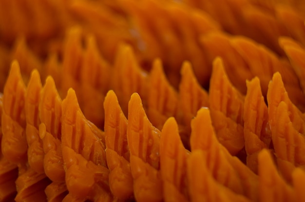 Full frame shot of orange flowering plant