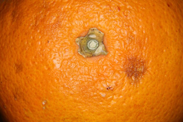 Full frame shot of orange slice in water