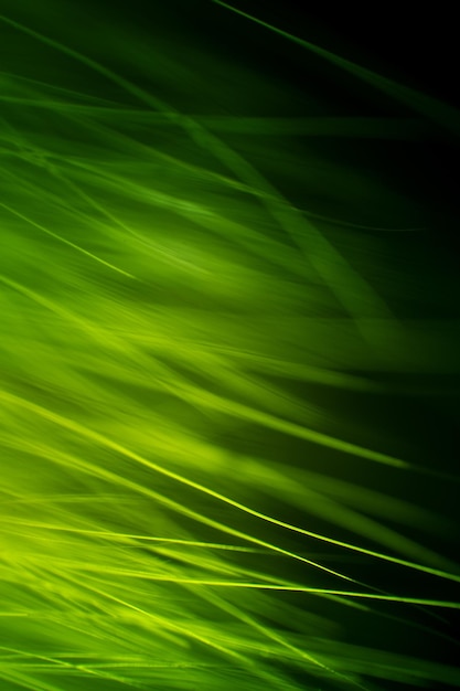 Photo full frame shot of palm leaf