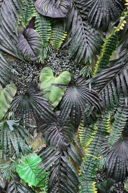 Photo full frame shot of palm tree