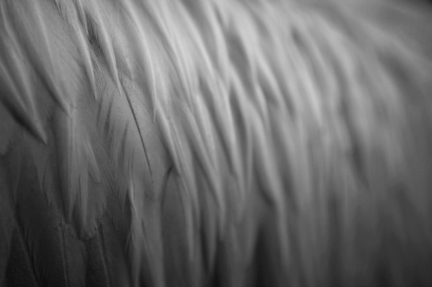 full frame shot of pattern