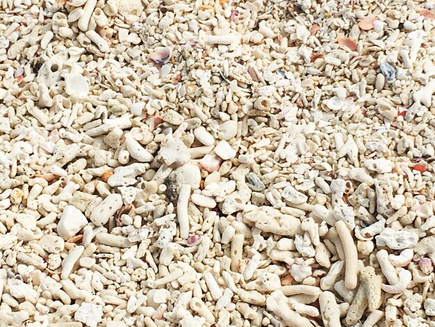 Full frame shot of pebbles on beach