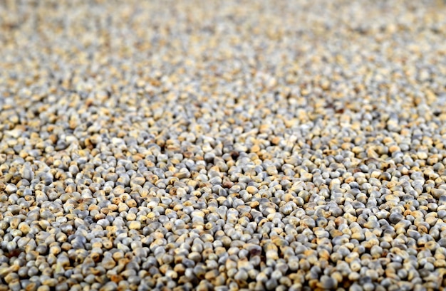 Full frame shot of pebbles