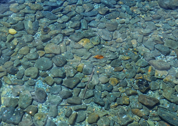 Photo full frame shot of pebbles