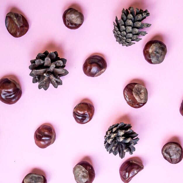 Foto fotografia completa di bacche rosa su sfondo bianco