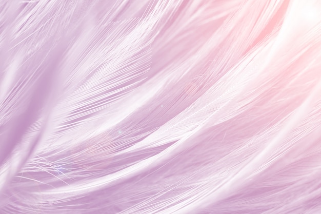 Full Frame Shot Of Pink Feather