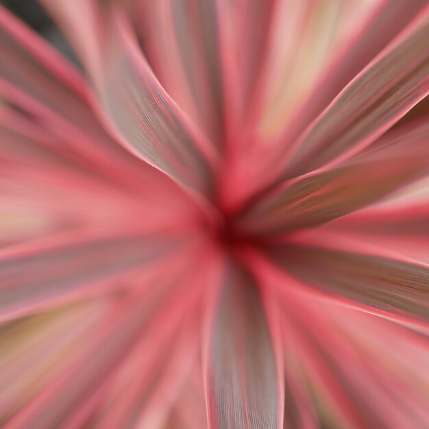 Photo full frame shot of pink flower