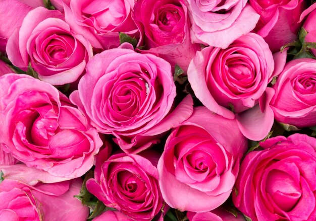 Photo full frame shot of pink roses