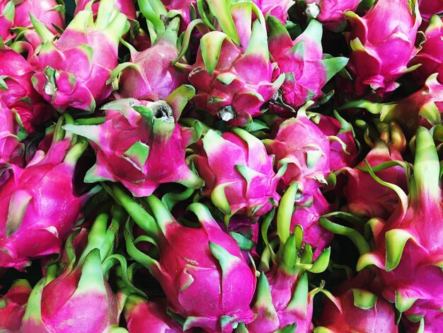 Photo full frame shot of pink roses