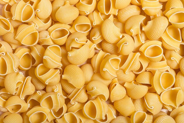 Foto scatto completo di pasta rigata a tubo