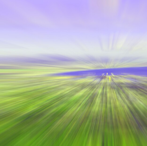 Full frame shot of plants against sky