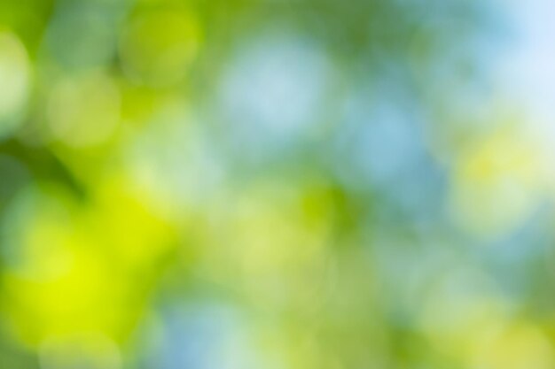 Full frame shot of plants