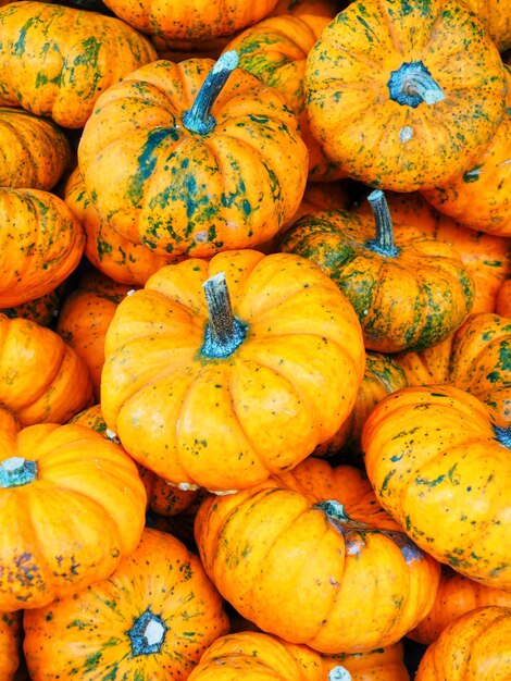 Photo full frame shot of pumpkins at market stall