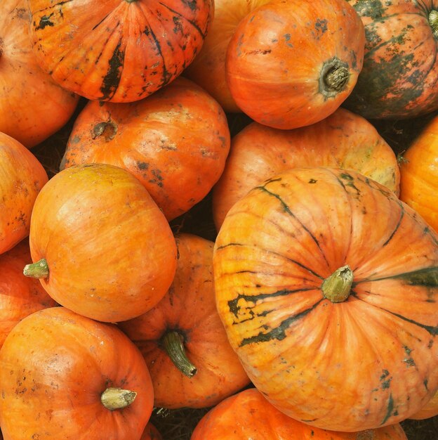 Full frame shot of pumpkins at market stall