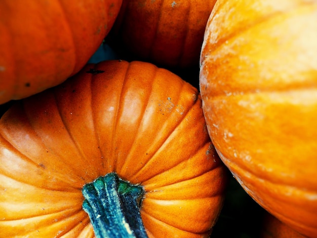 Photo full frame shot of pumpkins at market stall