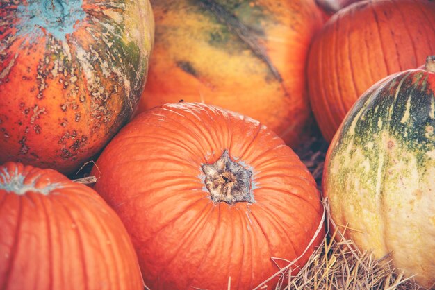 Photo full frame shot of pumpkins at market